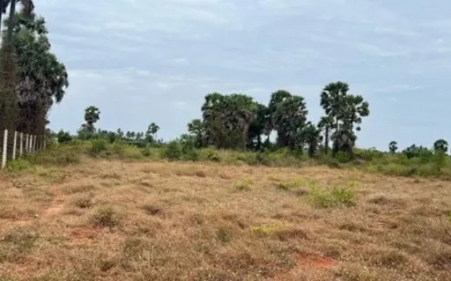 கிழக்கு மாகாண நிலங்களைப் பாதுகாக்க விசேட குழு – அமைச்சரவை ஒப்புதல்